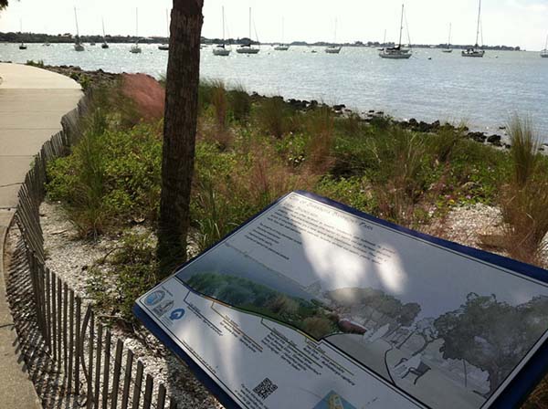 A living shoreline at Bayfront park