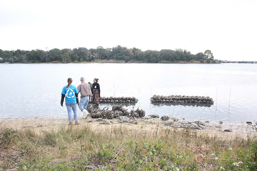 Bayview Park Reef Building