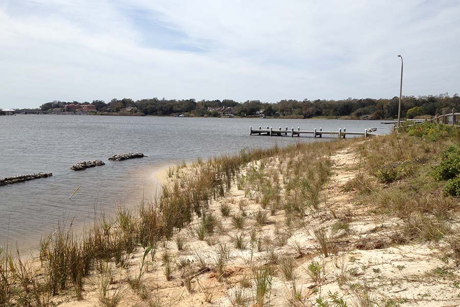 Bayview Park Shoreline after restoration