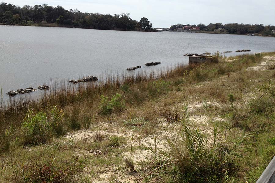 Bayview Park Shoreline Post Implementation