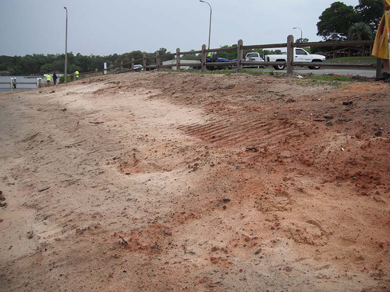 Bayview Park after Pharagmites removal by City