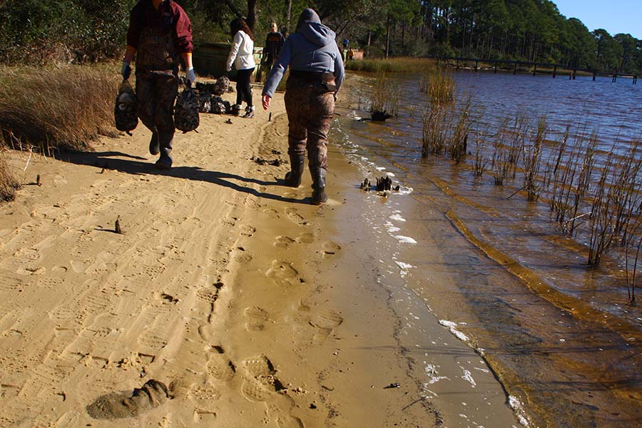 Moving oyster bags to the shoreline