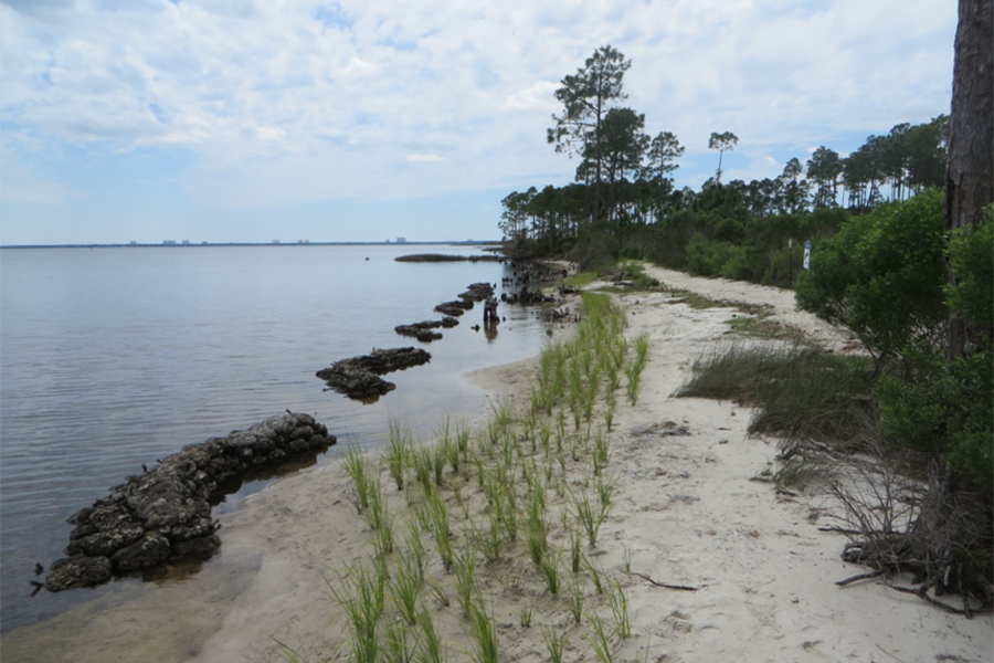 RiverCamps in May 2016 after restoration