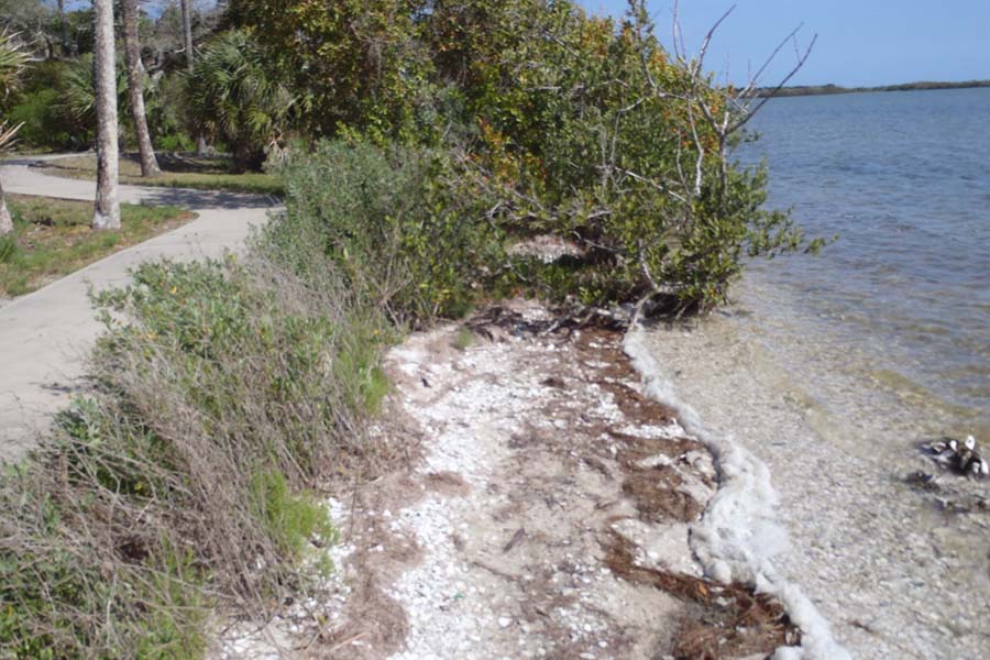 Seminole Rest Before Stabilization