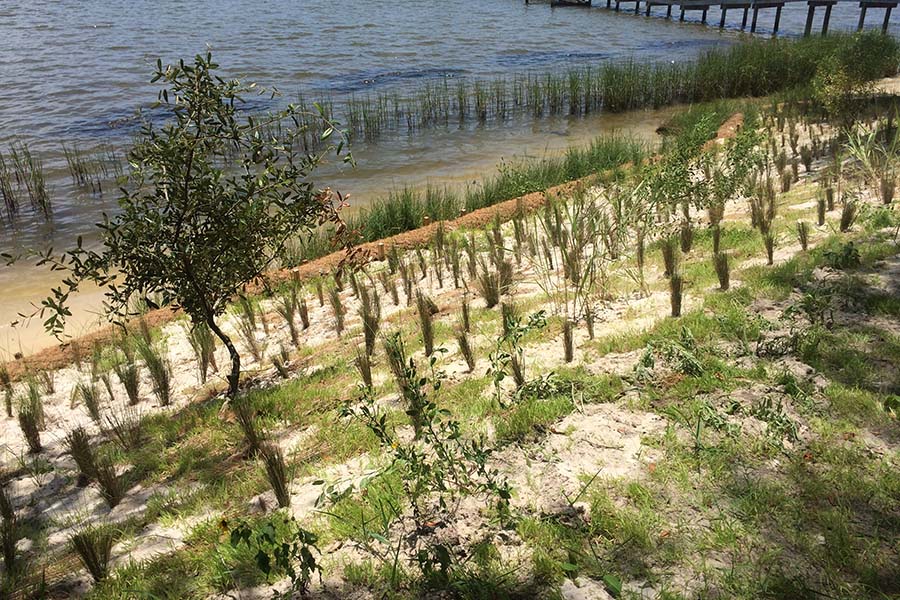 Completed Bayou Grande restoration looking towards the water