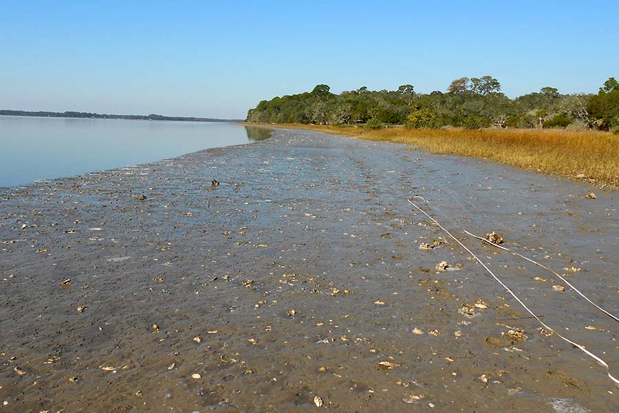 Before Wright Landing restoration project