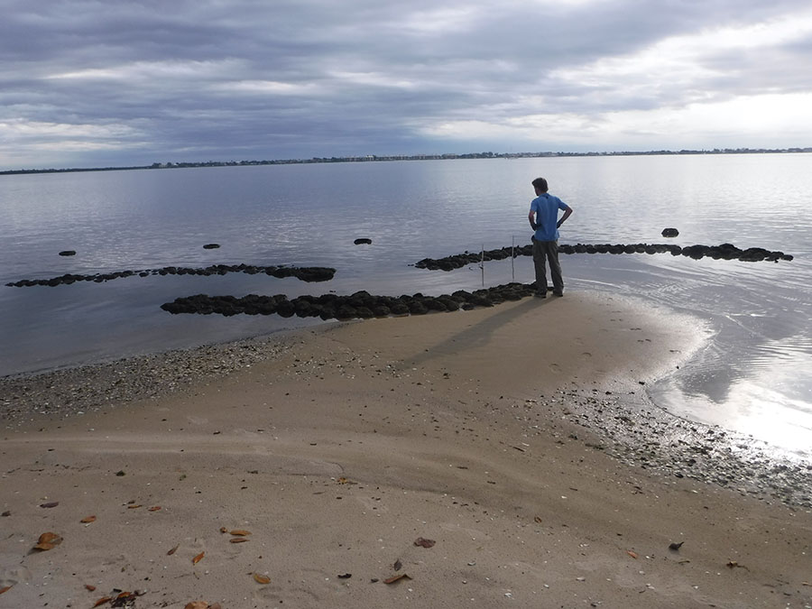 Oyster reefs at Indian Riverside Park