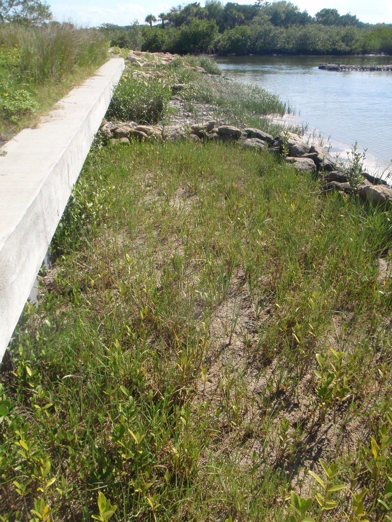 Improvements to the seawall include a coquina planter, an oyster bag planter, and rip-rap with native plants.