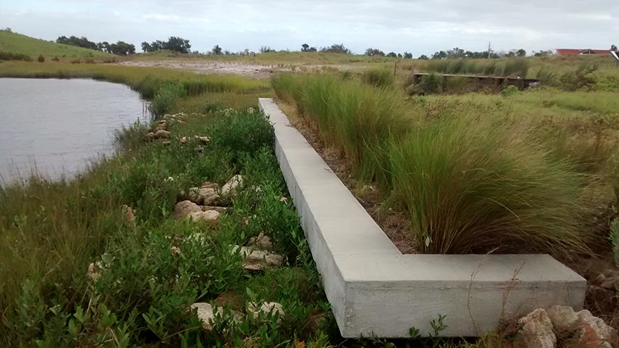 Redeemed seawall days after Hurricane Matthew, in October 2016, two years after planting.