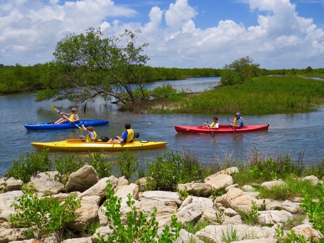 Kayakers explore the Living Shorelines Demonstration Area from the water, including this section of rip rap and native plants. (Photo: MaryAnne West)