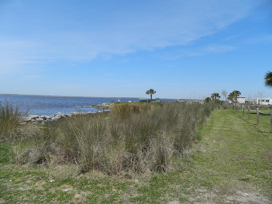 Indian Creek 2014 after restoration