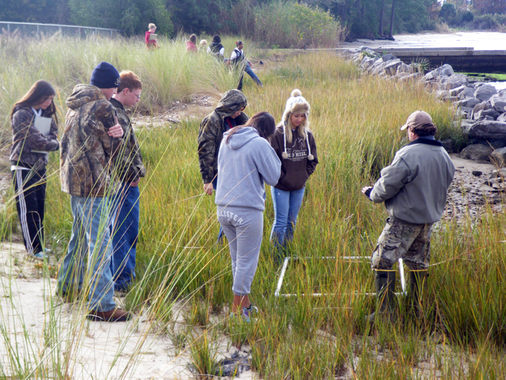 Indian Creek monitoring plant density after restoration