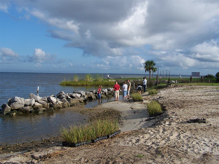 Indian Creek planting behind sill begins