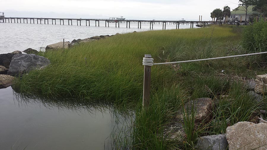 Looking east Sawyer St