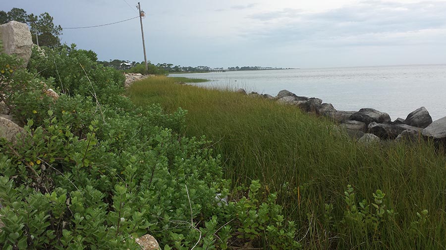 Looking west Sawyer St