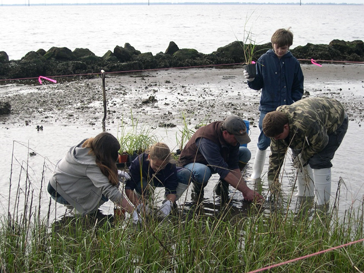 Millender Volunteers assist with planting