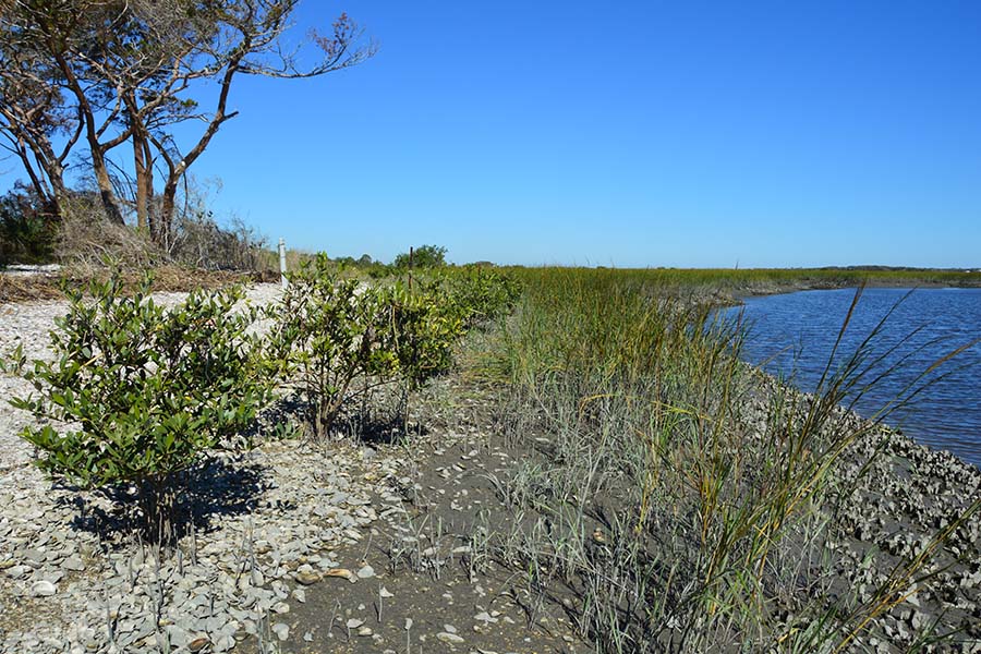 Fort Mose 3 yrs post