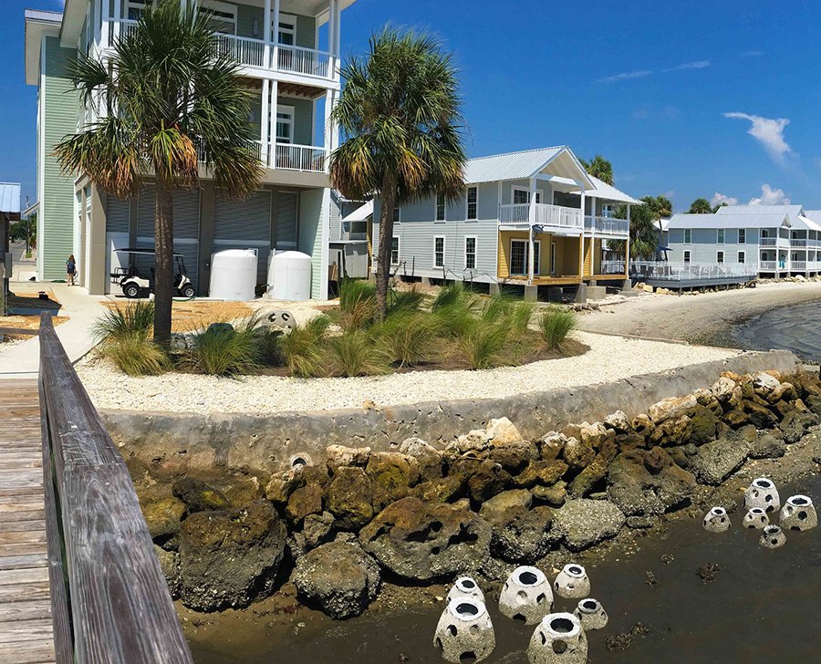 NCBS Reef Balls - Day 0 with plantings