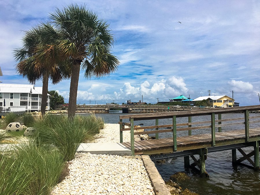 Native Plants with Shoreline Buffer - NCBS seawall