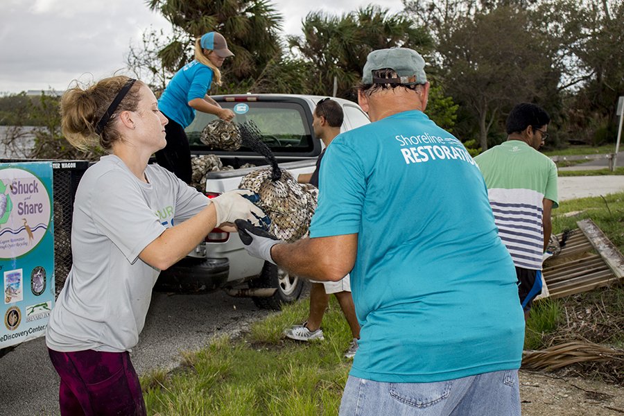Moving oyster bags for Geiger Point
