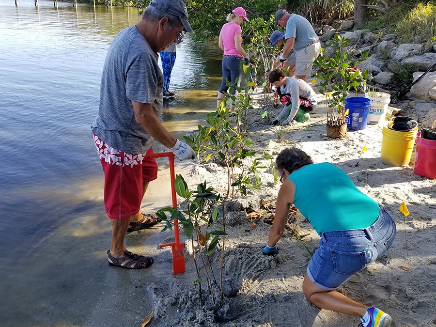 Planting the beach at Eastminster