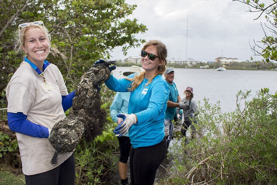 Transporting oyster bags into the water at Geiger Point
