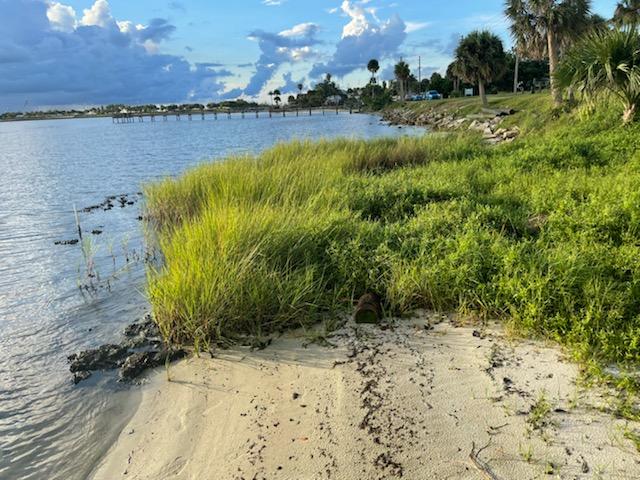 Spartina growth in 2021