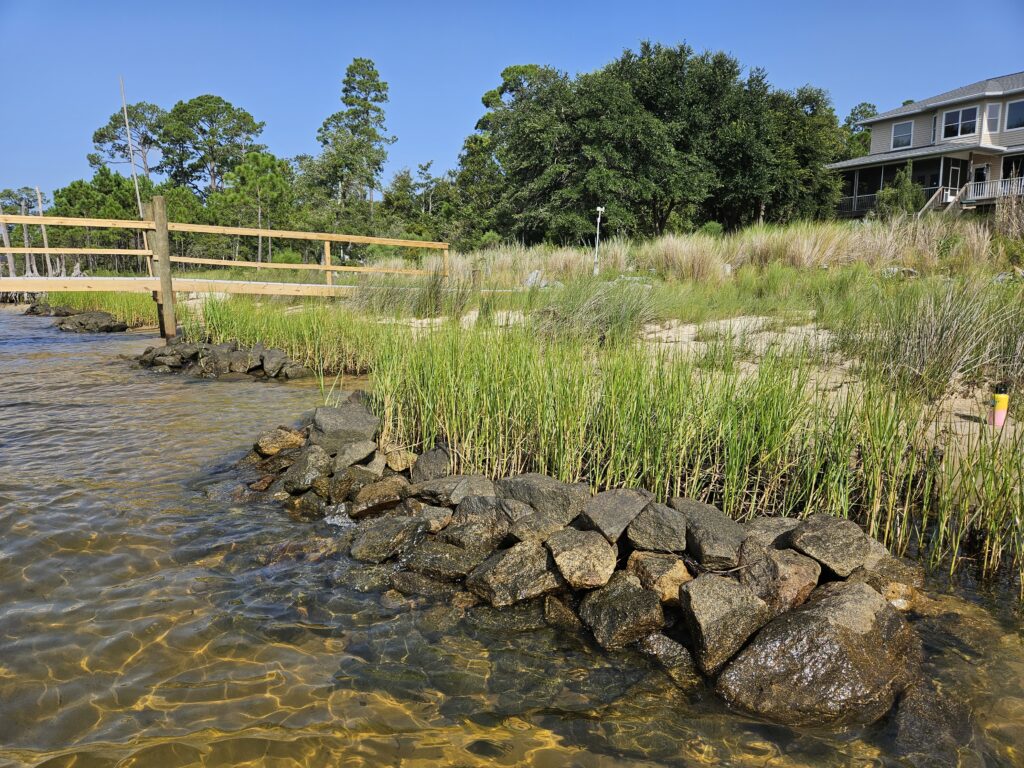Living shoreline post-hurricane. Photo from FDEP Northwest Florida Aquatic Preserves.