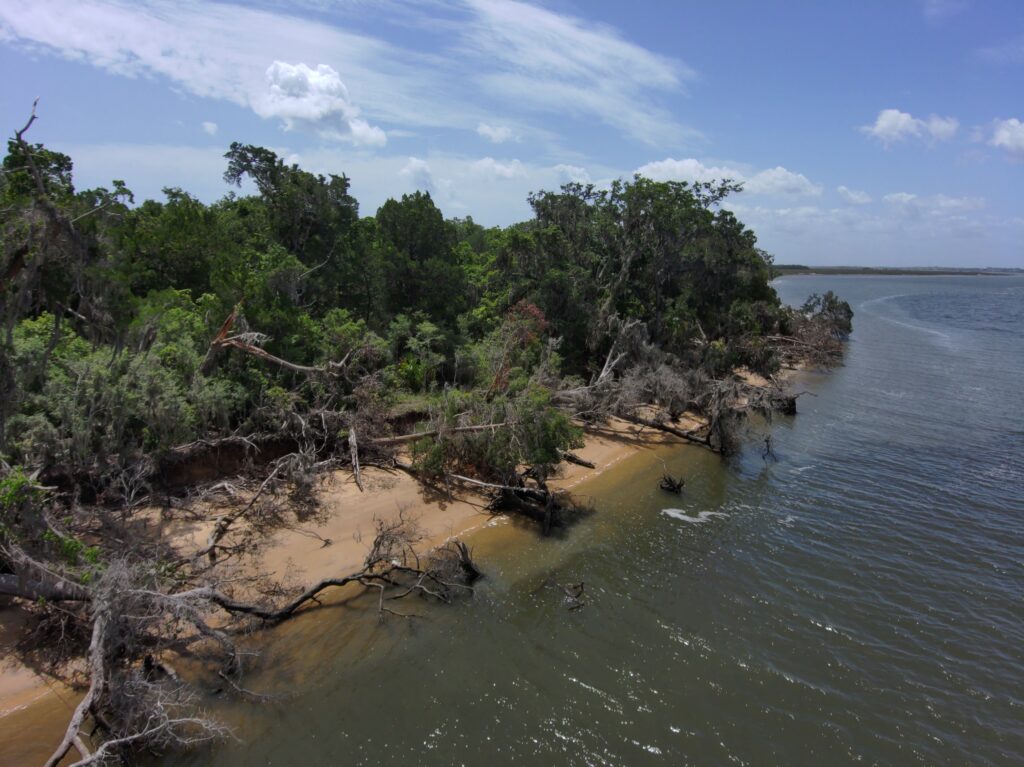 A high energy shoreline in northeast Florida